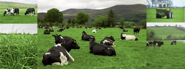 Nitrogen-Management-Strategies_Landing