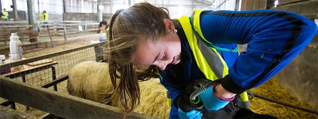 Resources-for-School-Goers_Landing