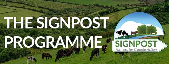 Signpost-Programme-Landing-Box